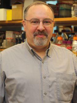 Luis Rajman